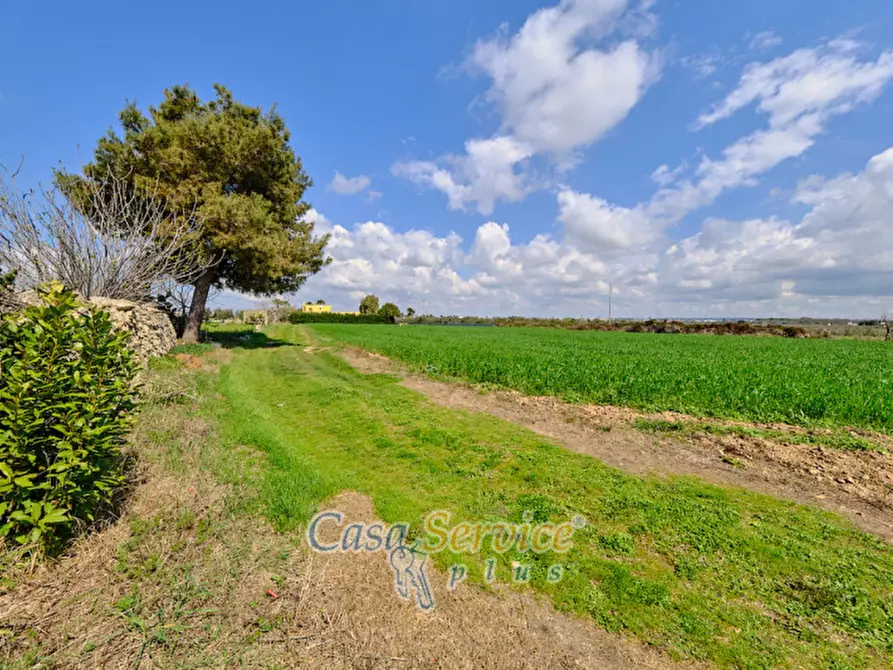 Immagine 20 di Terreno in vendita  in Via Felline a Racale