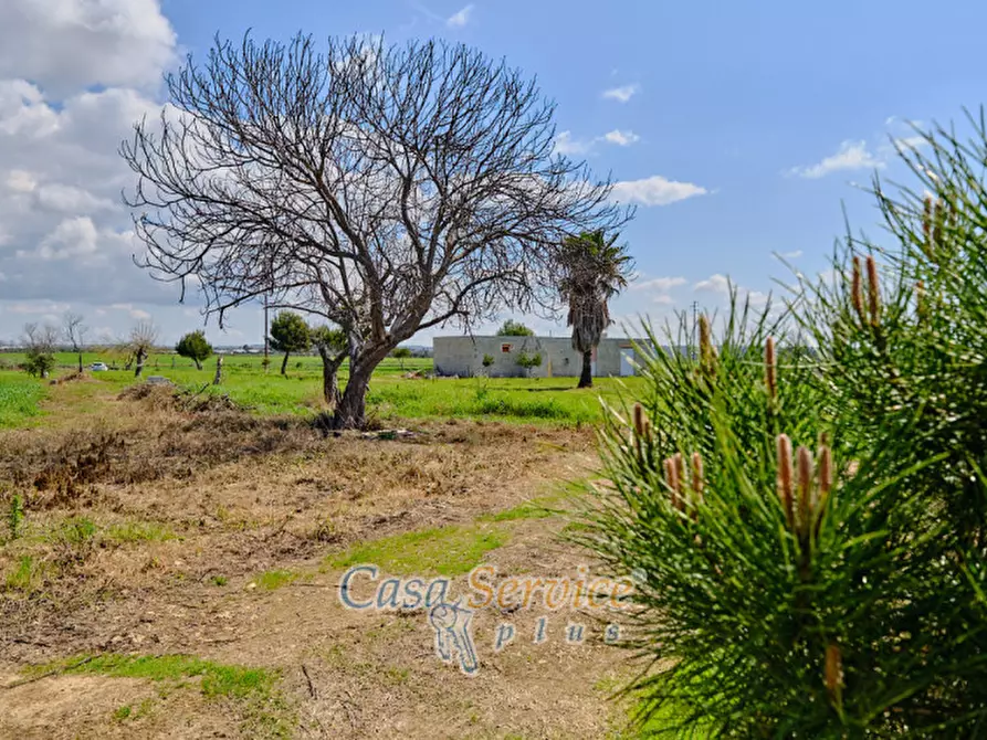 Immagine 21 di Terreno in vendita  in Via Felline a Racale