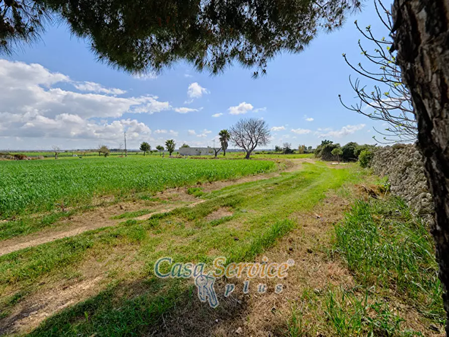 Immagine 22 di Terreno in vendita  in Via Felline a Racale