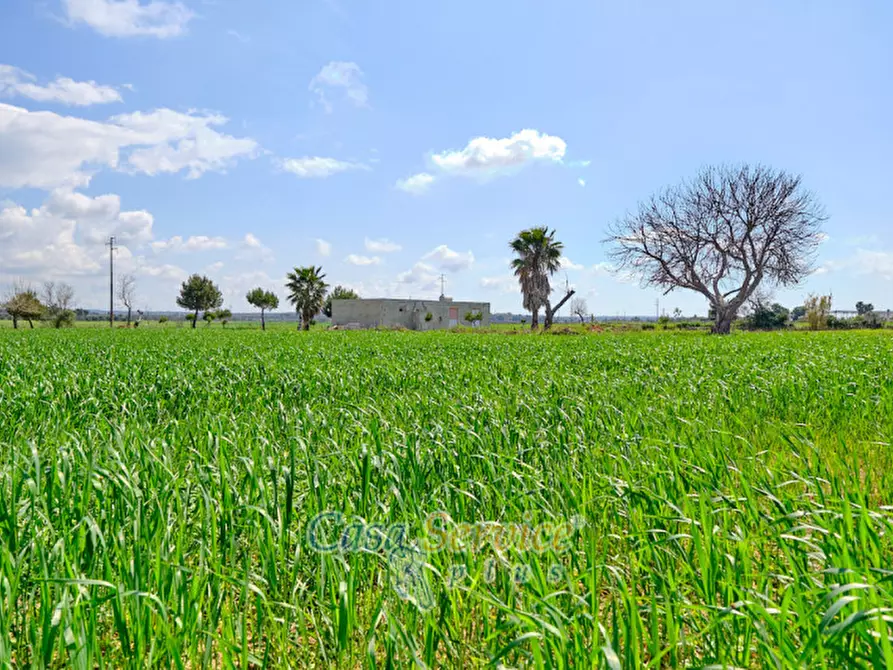 Immagine 23 di Terreno in vendita  in Via Felline a Racale