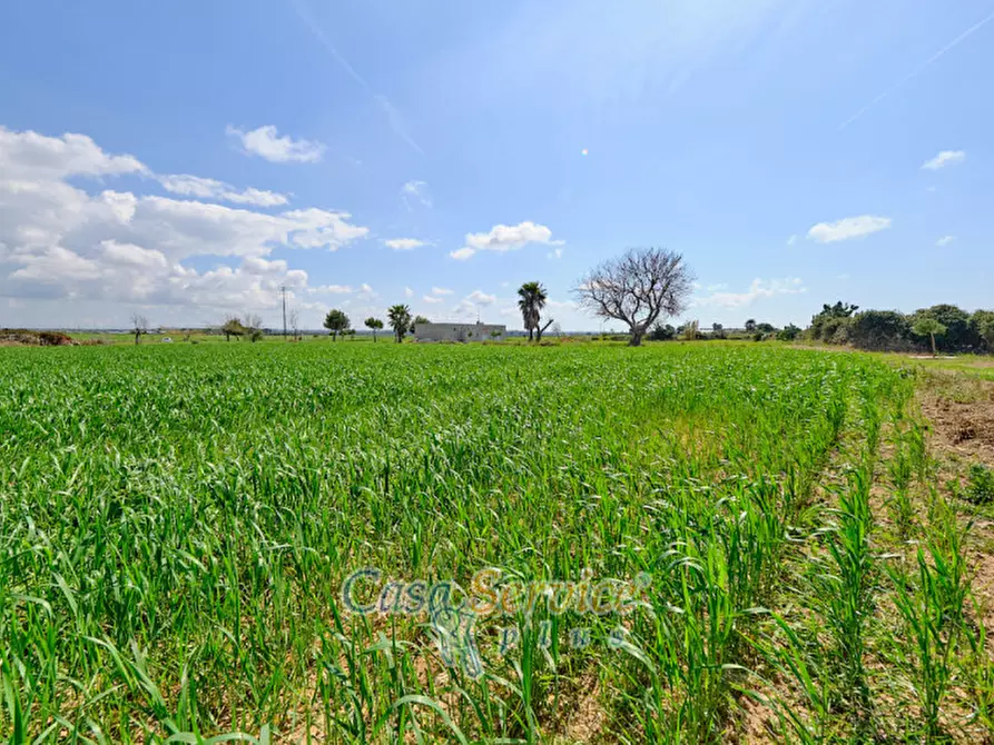 Immagine 24 di Terreno in vendita  in Via Felline a Racale