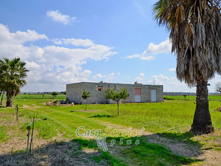 Immagine 25 di Terreno in vendita  in Via Felline a Racale