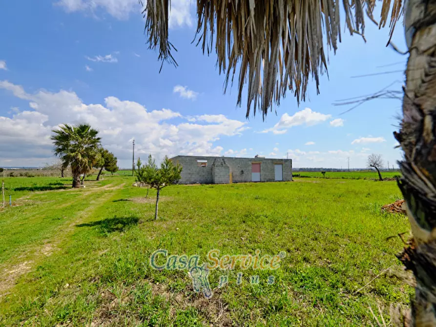 Immagine 26 di Terreno in vendita  in Via Felline a Racale