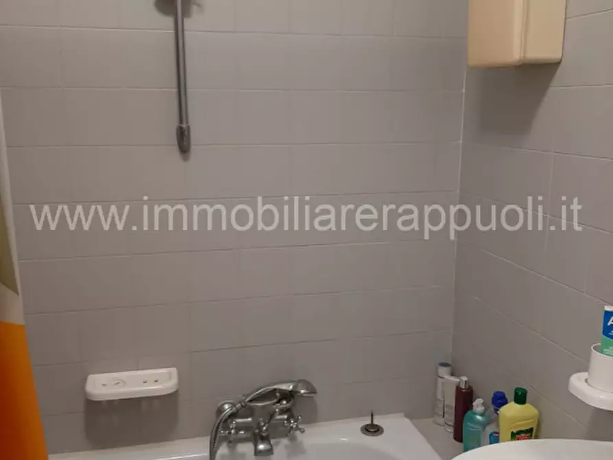 Immagine 2 di Appartamento in vendita  a Castiglione Della Pescaia