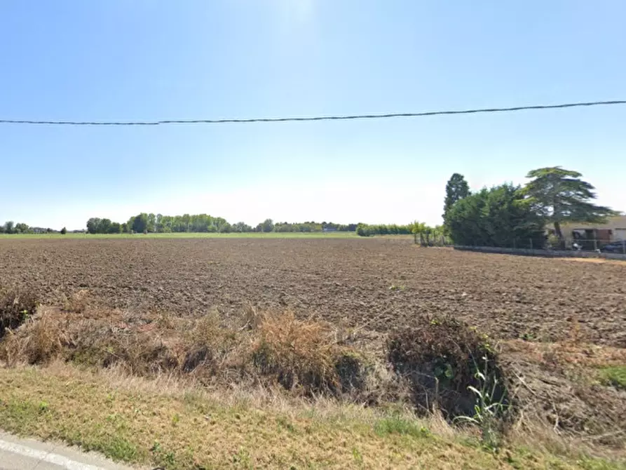 Immagine 2 di Terreno in vendita  in VIA BOCCADESPIN a Ospedaletto Euganeo