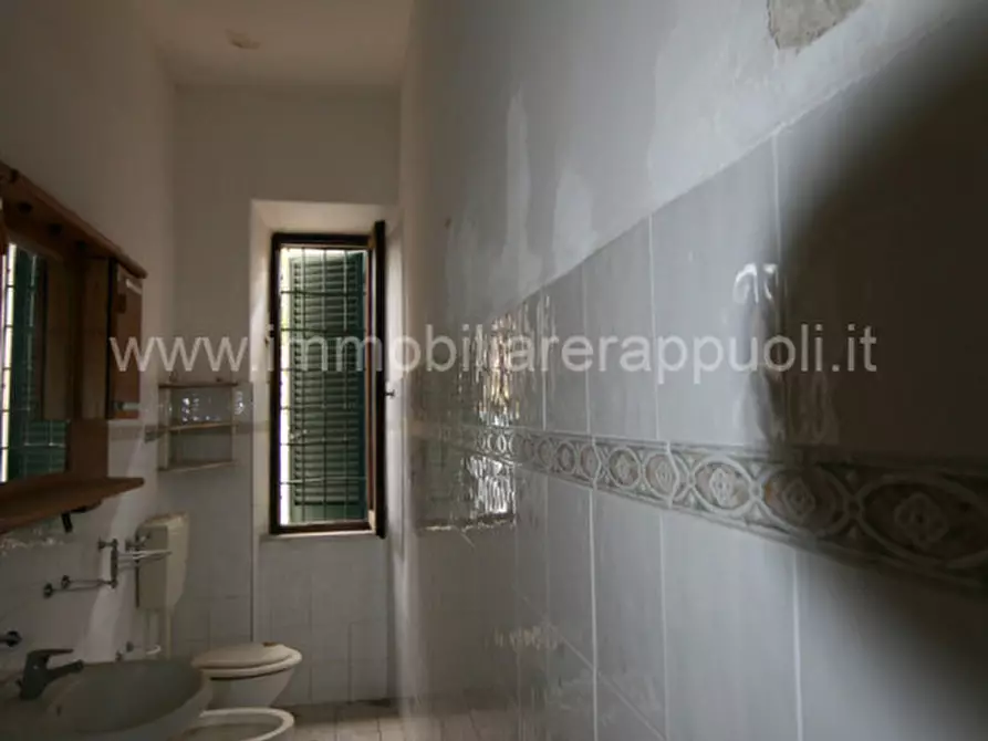 Immagine 4 di Appartamento in vendita  a Asciano