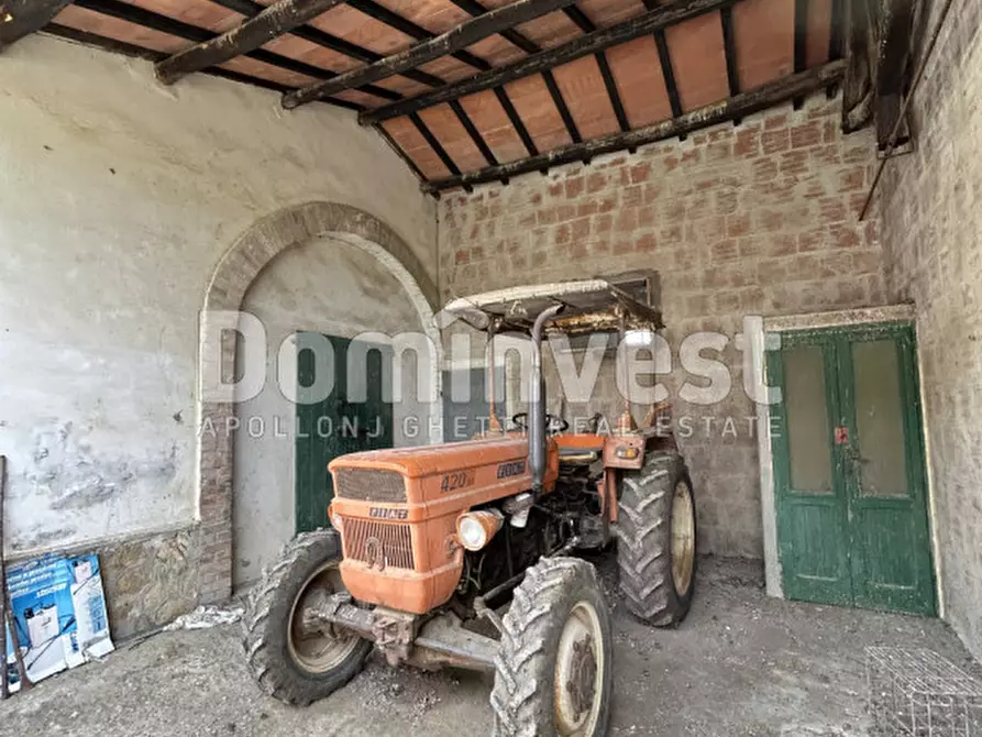 Immagine 3 di Rustico / casale in vendita  in Strada  Origlio a Capalbio
