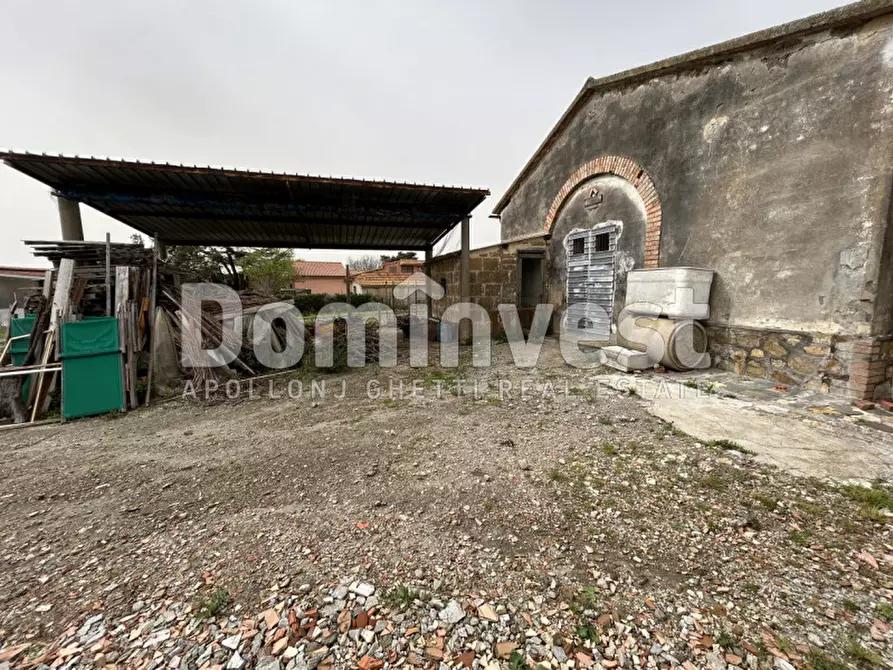 Immagine 5 di Rustico / casale in vendita  in Strada  Origlio a Capalbio