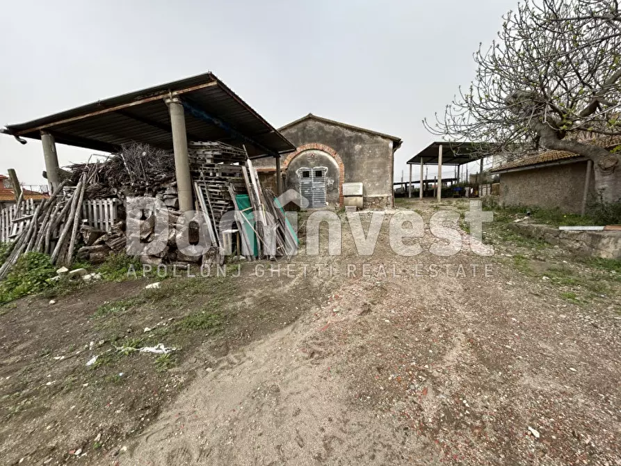 Immagine 6 di Rustico / casale in vendita  in Strada  Origlio a Capalbio