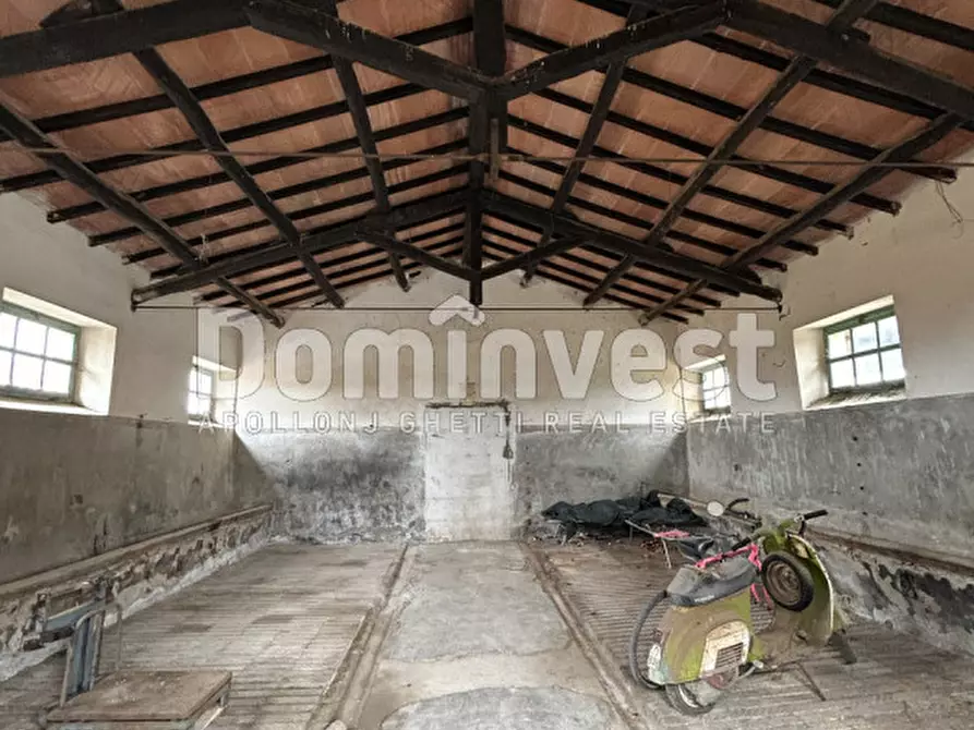 Immagine 9 di Rustico / casale in vendita  in Strada  Origlio a Capalbio