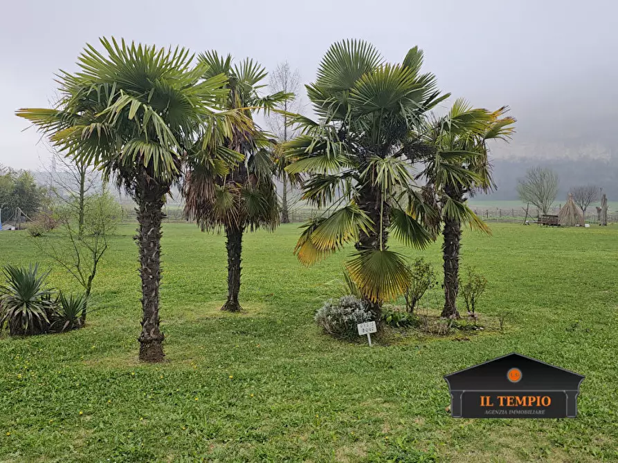 Immagine 39 di Villa in vendita  in VIA ANESOLO a Sossano