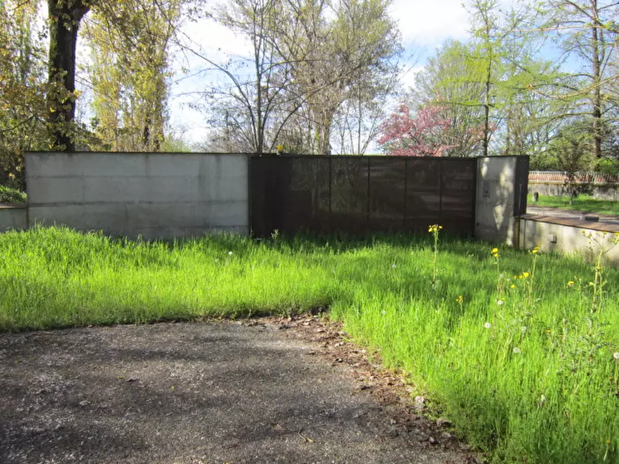 Immagine 3 di Ufficio in vendita  in Via Argine Po Nord 73 a San Benedetto Po