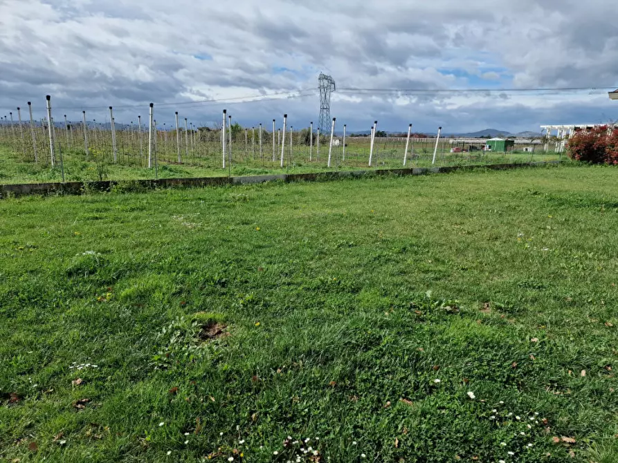 Immagine 3 di Casa indipendente in vendita  in Via Boscone a Cesena