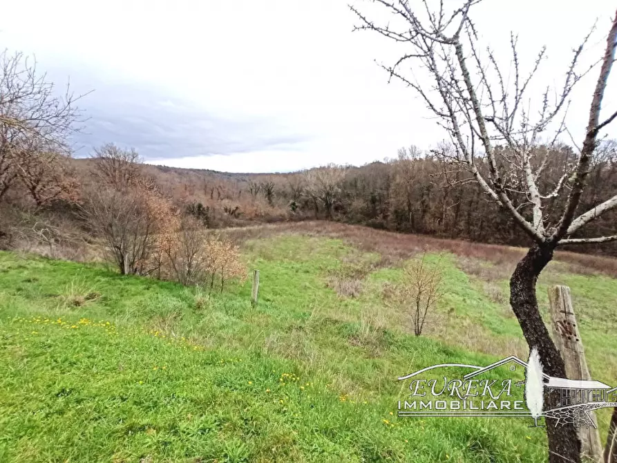 Immagine 6 di Garage in vendita  in Moiano a Città Della Pieve