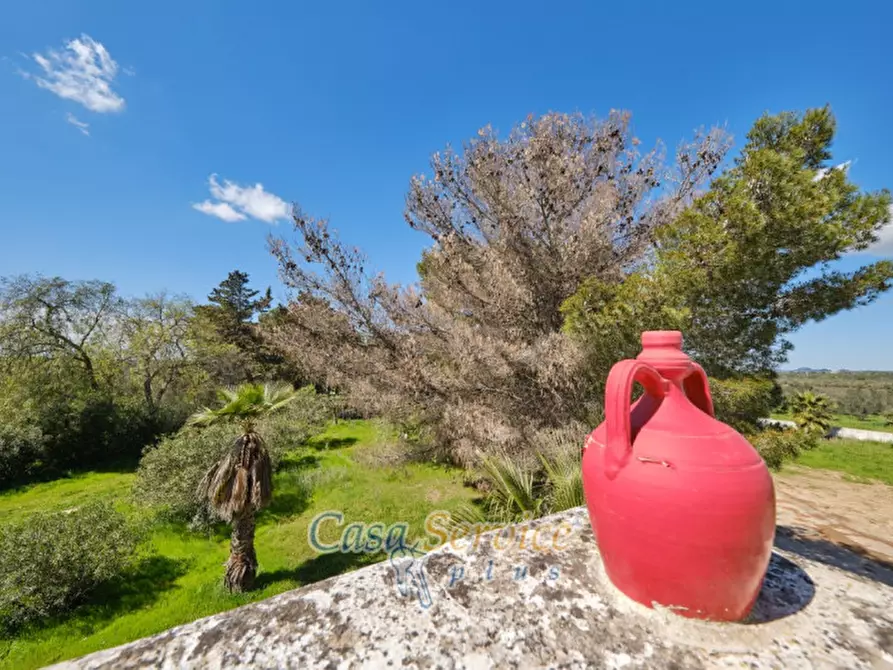 Immagine 30 di Villa in vendita  in Contrada Casa Rossa a Oria