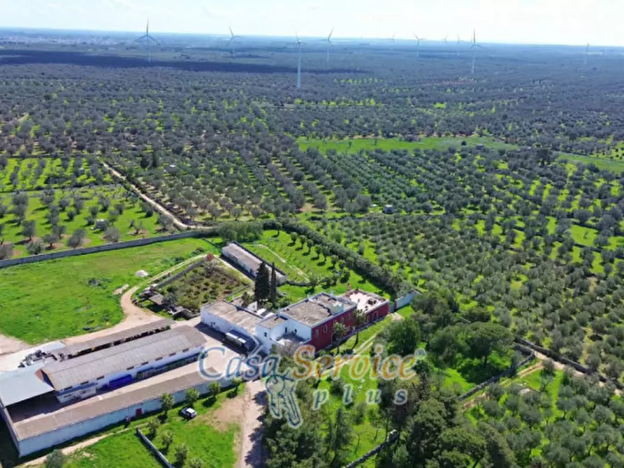 Immagine 102 di Villa in vendita  in Contrada Casa Rossa a Oria