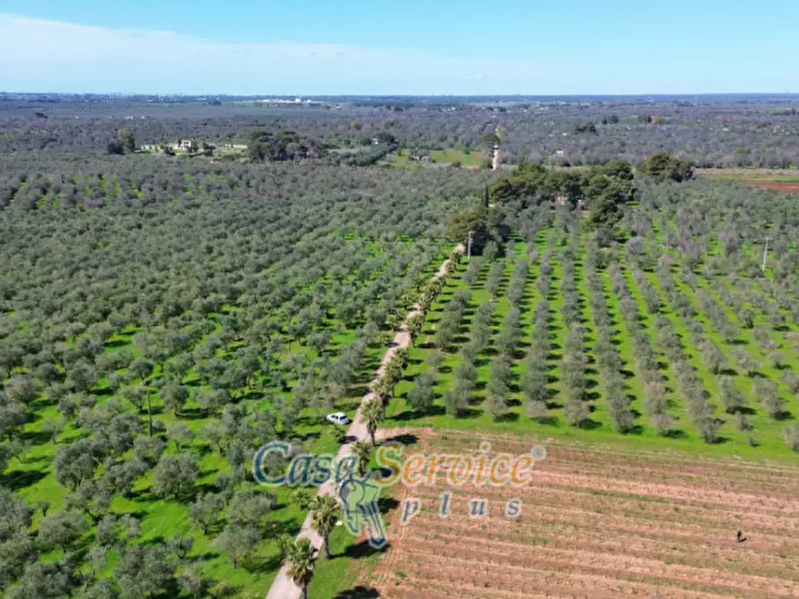 Immagine 103 di Villa in vendita  in Contrada Casa Rossa a Oria