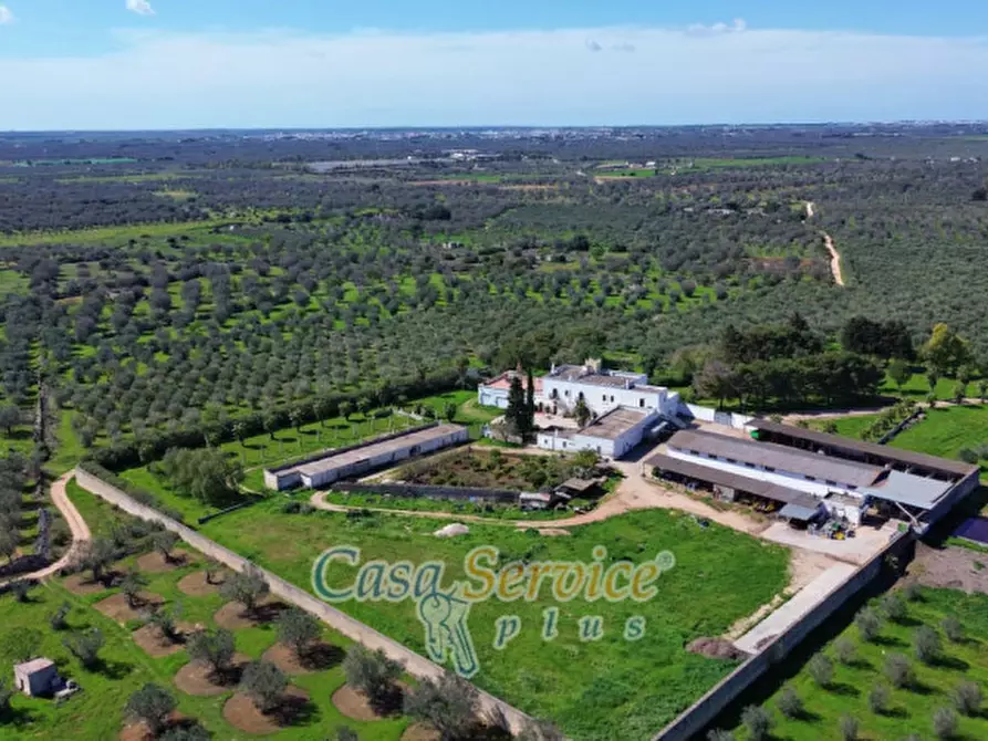 Immagine 106 di Villa in vendita  in Contrada Casa Rossa a Oria