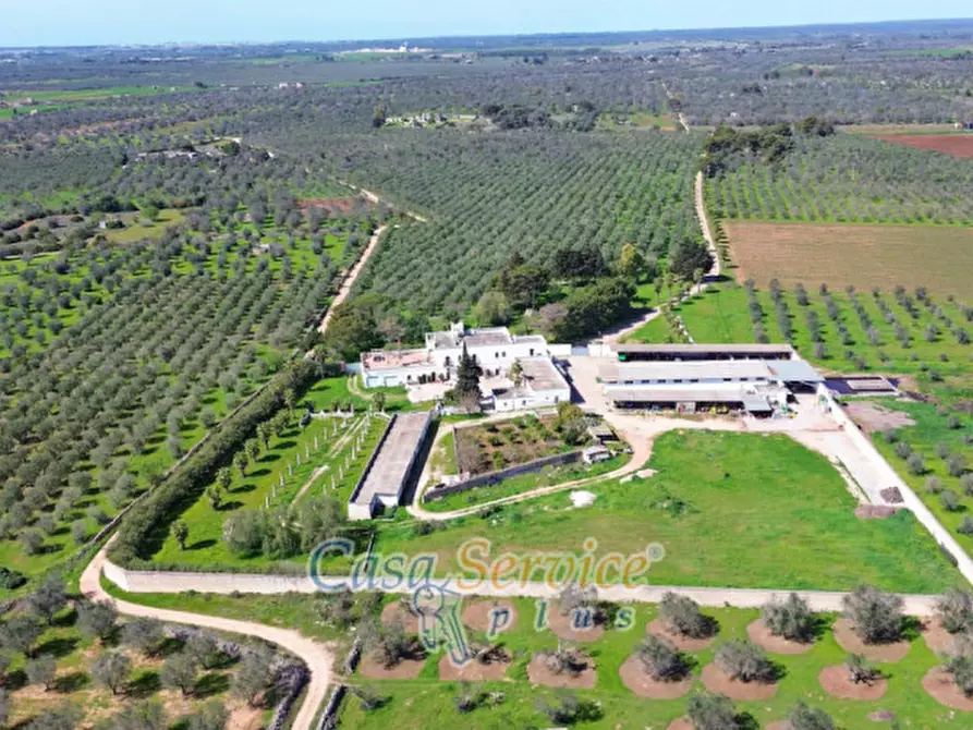 Immagine 107 di Villa in vendita  in Contrada Casa Rossa a Oria
