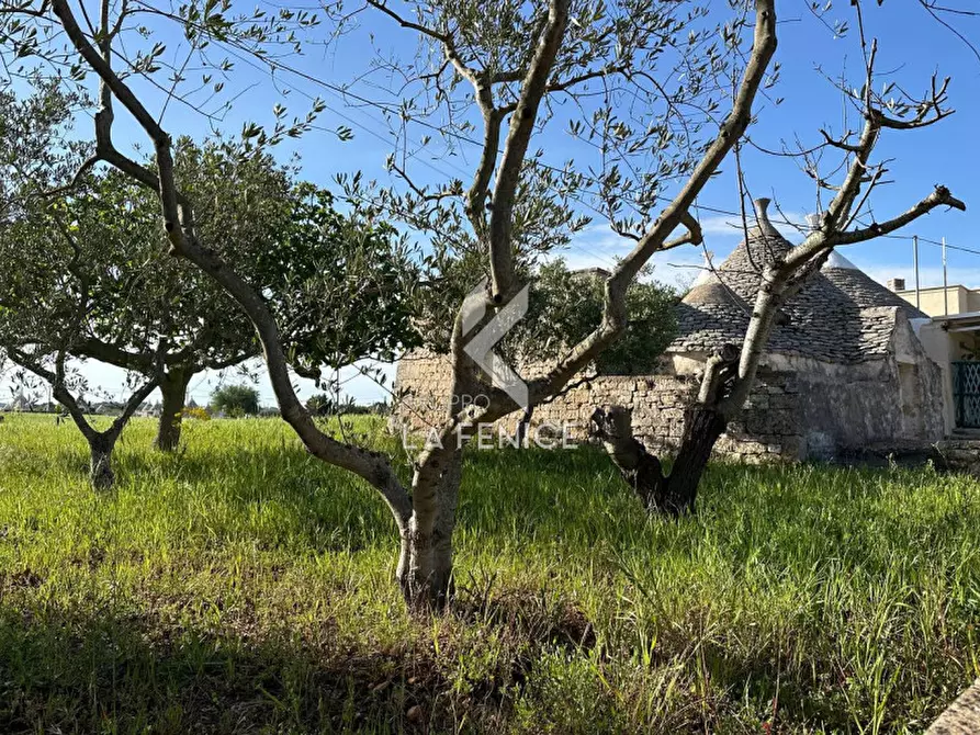 Immagine 2 di Rustico / casale in vendita  in contrada guarini a Martina Franca