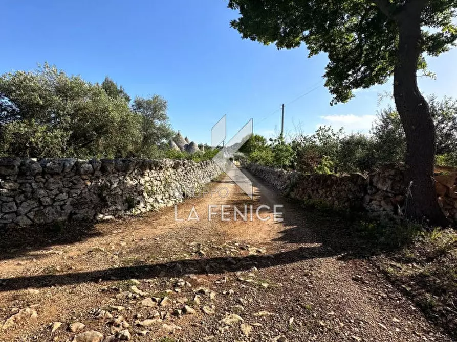 Immagine 3 di Rustico / casale in vendita  in contrada guarini a Martina Franca