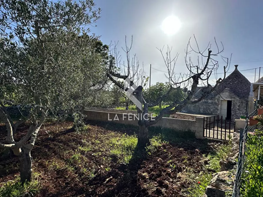 Immagine 6 di Rustico / casale in vendita  in contrada guarini a Martina Franca