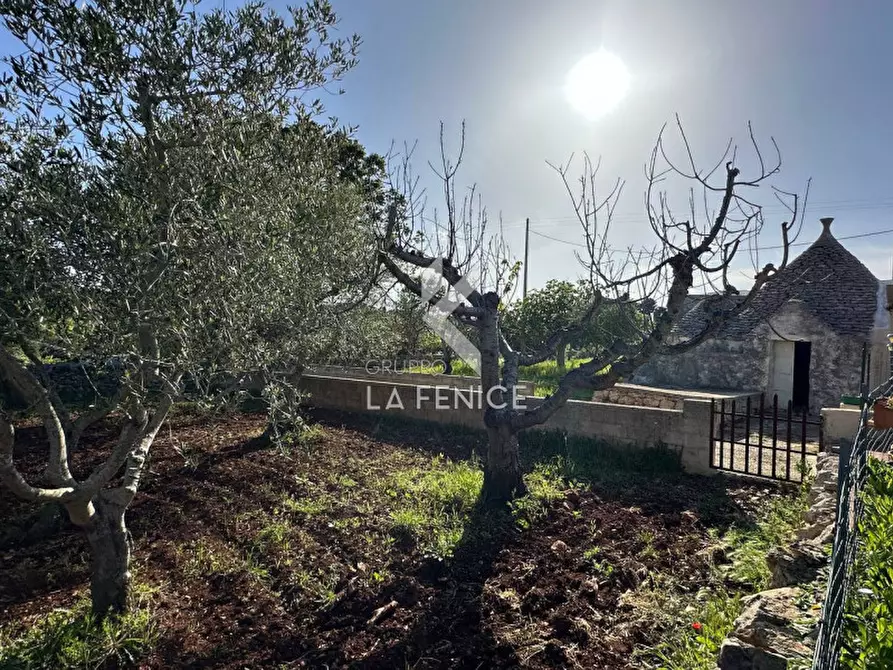 Immagine 7 di Rustico / casale in vendita  in contrada guarini a Martina Franca