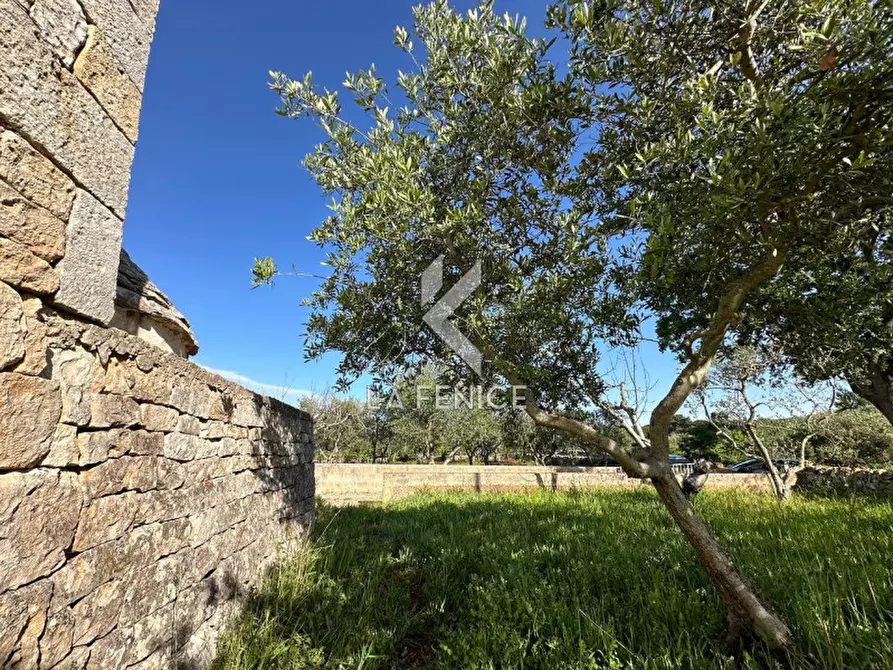 Immagine 11 di Rustico / casale in vendita  in contrada guarini a Martina Franca
