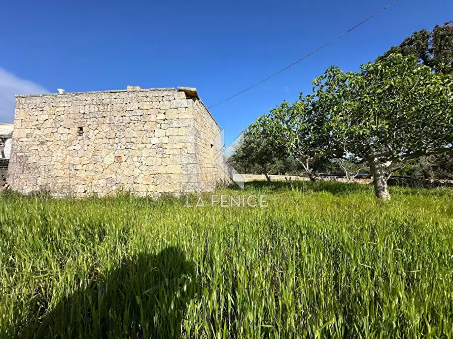 Immagine 12 di Rustico / casale in vendita  in contrada guarini a Martina Franca