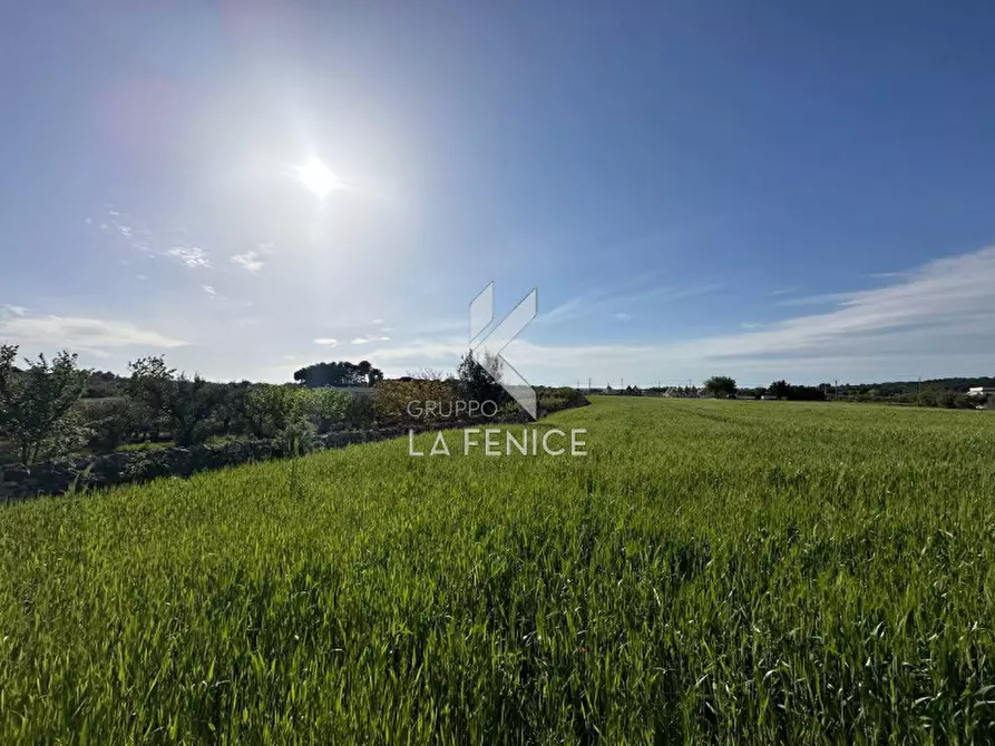 Immagine 18 di Rustico / casale in vendita  in contrada guarini a Martina Franca