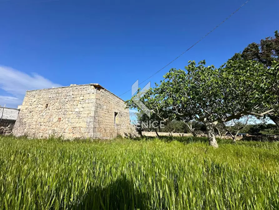 Immagine 19 di Rustico / casale in vendita  in contrada guarini a Martina Franca