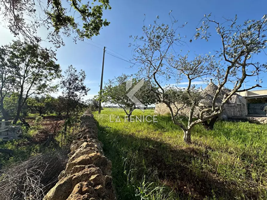 Immagine 20 di Rustico / casale in vendita  in contrada guarini a Martina Franca