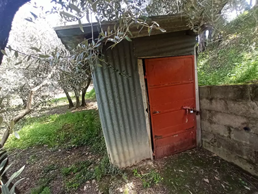 Immagine 8 di Terreno in vendita  a Castiglione Del Lago