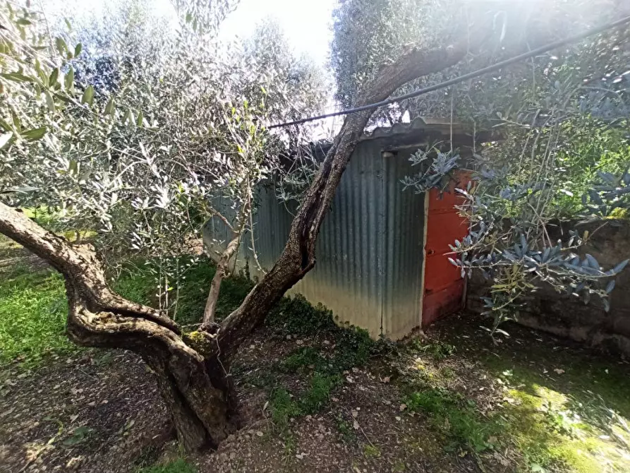 Immagine 9 di Terreno in vendita  a Castiglione Del Lago