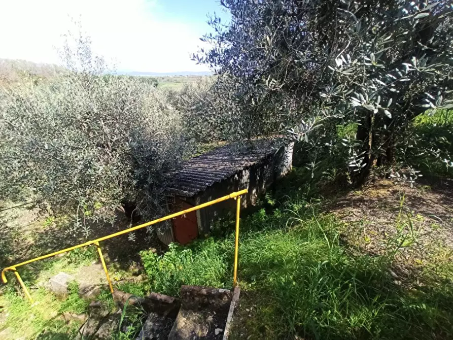 Immagine 10 di Terreno in vendita  a Castiglione Del Lago