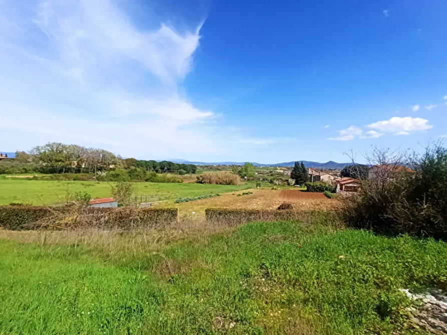Immagine 13 di Terreno in vendita  a Castiglione Del Lago