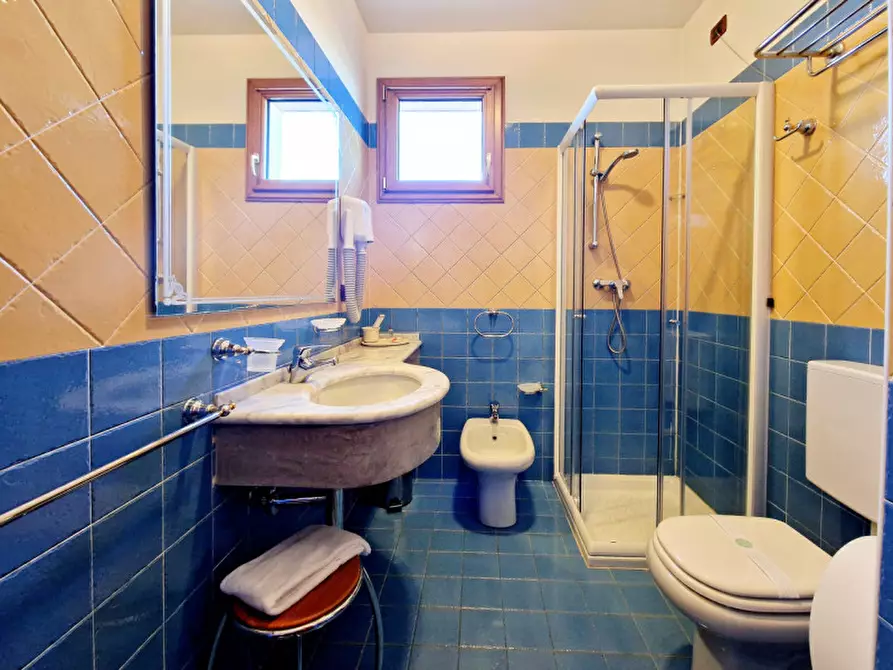 Immagine 17 di Hotel in vendita  in via peagna a Stanghella