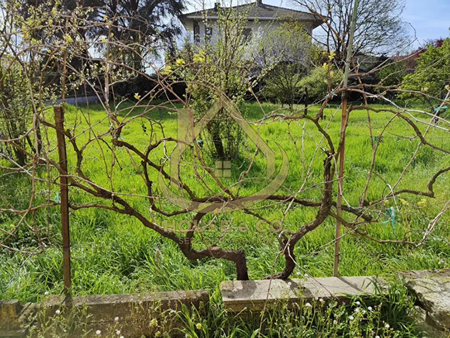 Immagine 21 di Casa indipendente in vendita  in VIA DEI MILLE a Vigevano