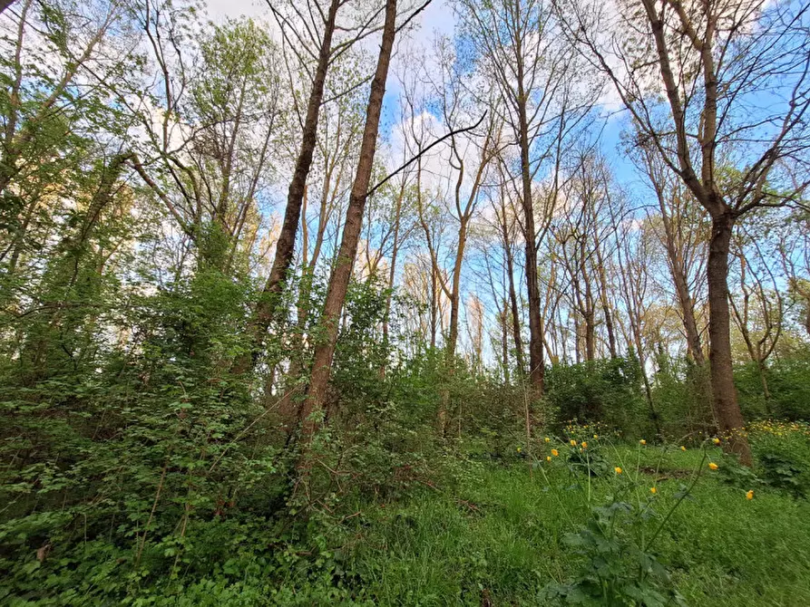 Immagine 1 di Terreno in vendita  a Tuoro Sul Trasimeno