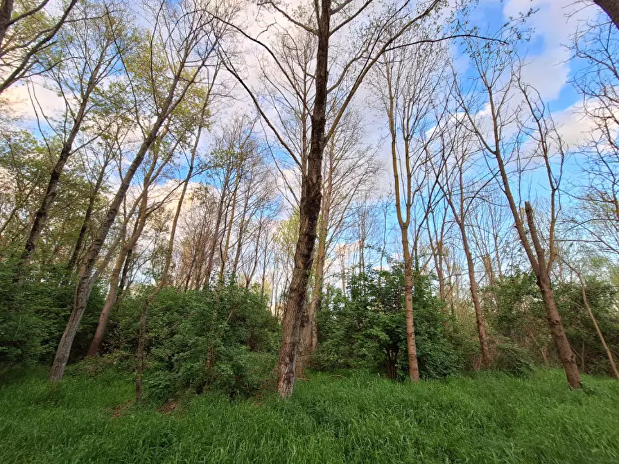 Immagine 1 di Terreno in vendita  a Tuoro Sul Trasimeno