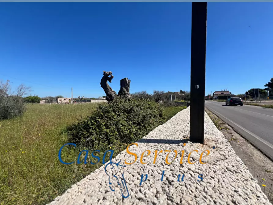 Immagine 3 di Terreno in vendita  in SP 52 a Gallipoli