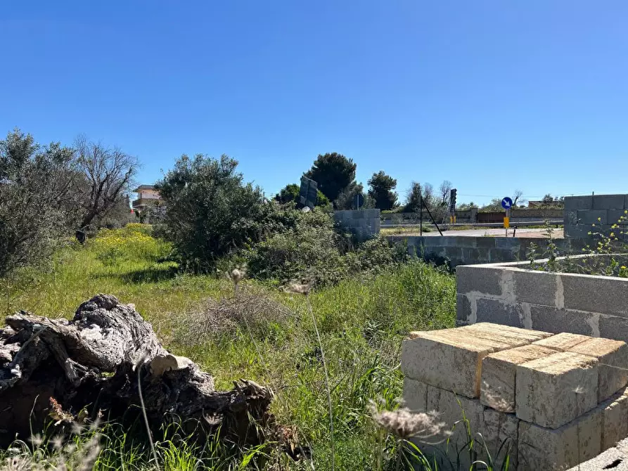 Immagine 4 di Terreno in vendita  in SP 52 a Gallipoli