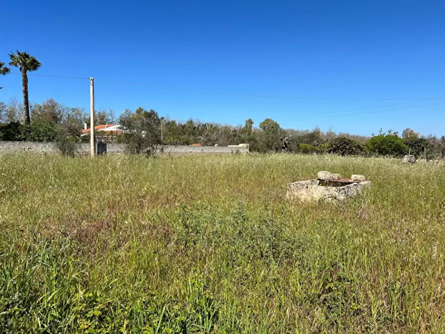 Immagine 5 di Terreno in vendita  in SP 52 a Gallipoli