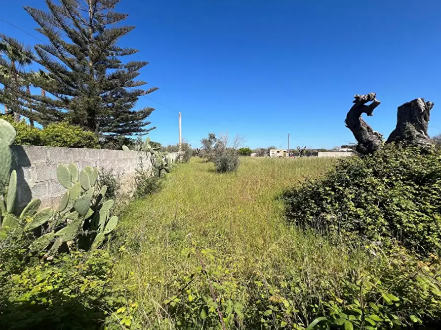 Immagine 9 di Terreno in vendita  in SP 52 a Gallipoli