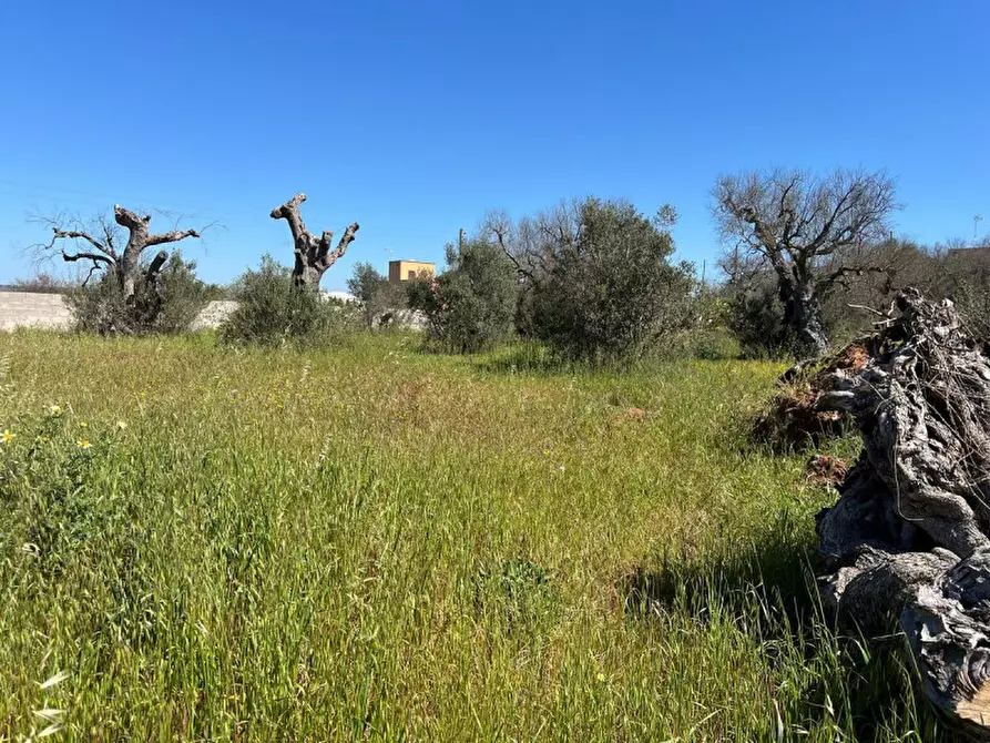 Immagine 10 di Terreno in vendita  in SP 52 a Gallipoli