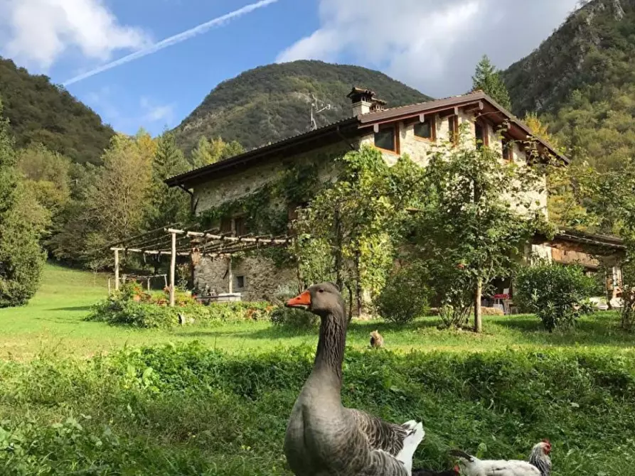 Immagine 5 di Casa indipendente in vendita  a Sabbio Chiese