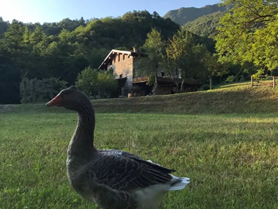 Immagine 15 di Casa indipendente in vendita  a Sabbio Chiese