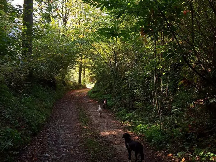 Immagine 22 di Casa indipendente in vendita  a Sabbio Chiese