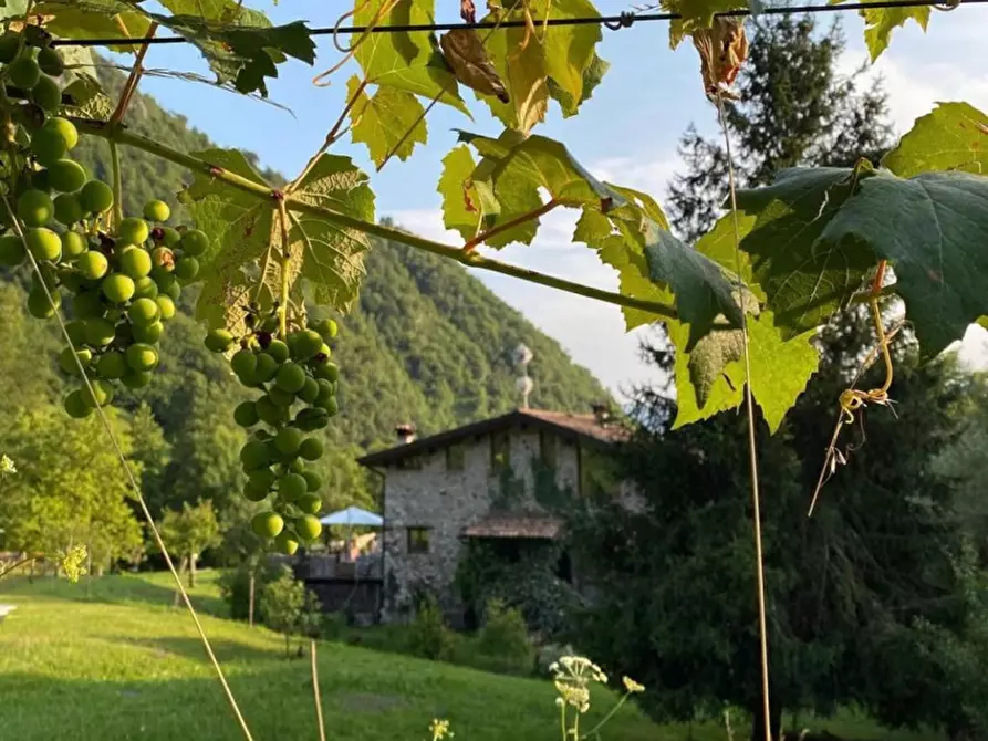 Immagine 23 di Casa indipendente in vendita  a Sabbio Chiese