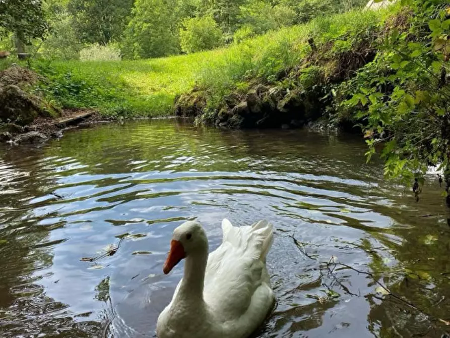 Immagine 42 di Casa indipendente in vendita  a Sabbio Chiese